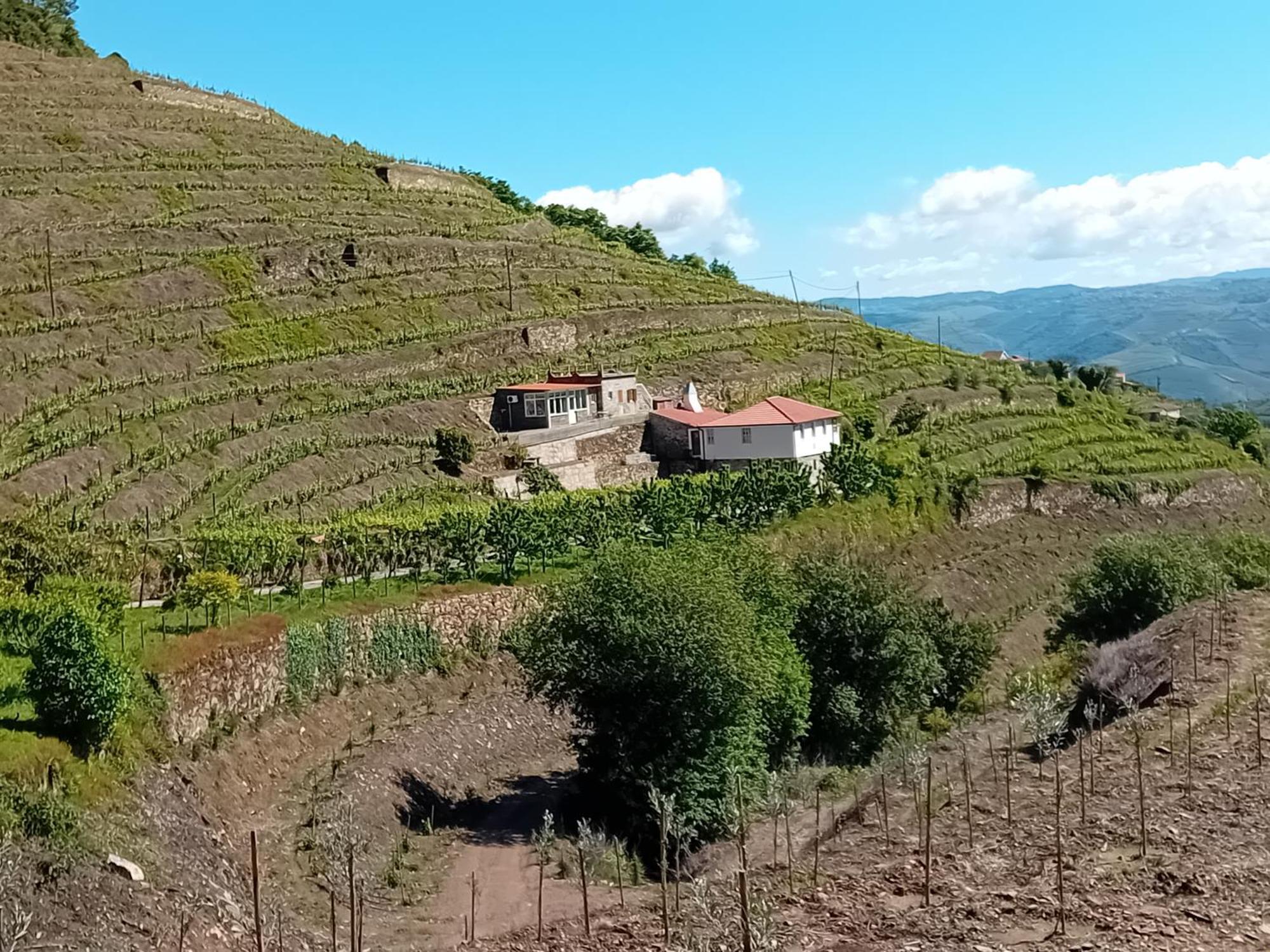Casa Da Quinta Do Porto Villa ลาเมโก ภายนอก รูปภาพ