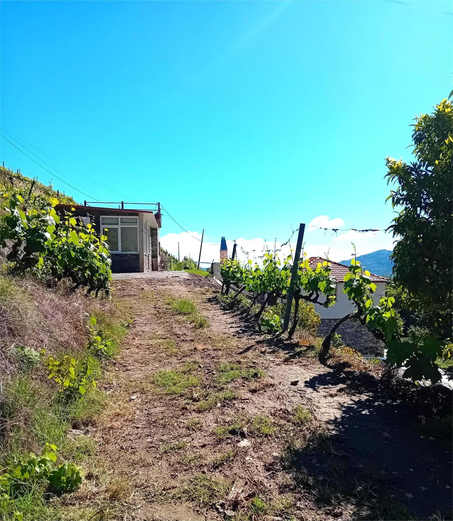 Casa Da Quinta Do Porto Villa ลาเมโก ภายนอก รูปภาพ