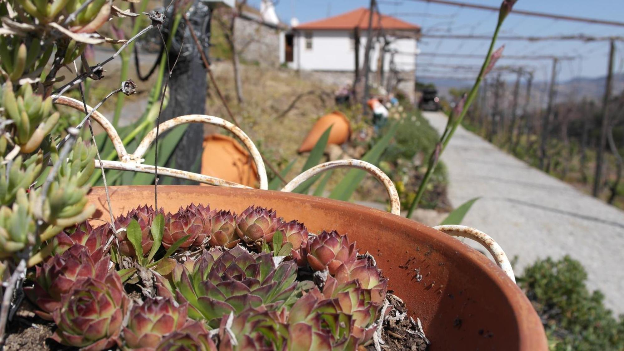 Casa Da Quinta Do Porto Villa ลาเมโก ภายนอก รูปภาพ