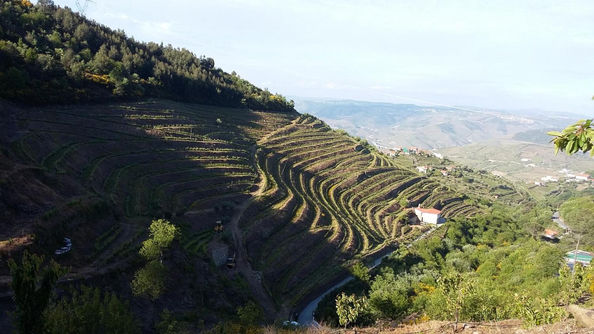 Casa Da Quinta Do Porto Villa ลาเมโก ภายนอก รูปภาพ