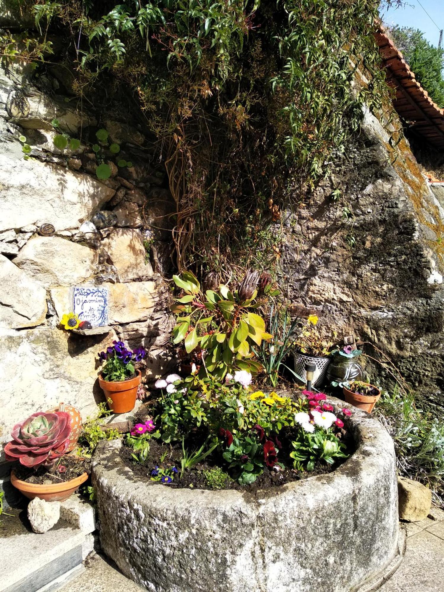 Casa Da Quinta Do Porto Villa ลาเมโก ภายนอก รูปภาพ