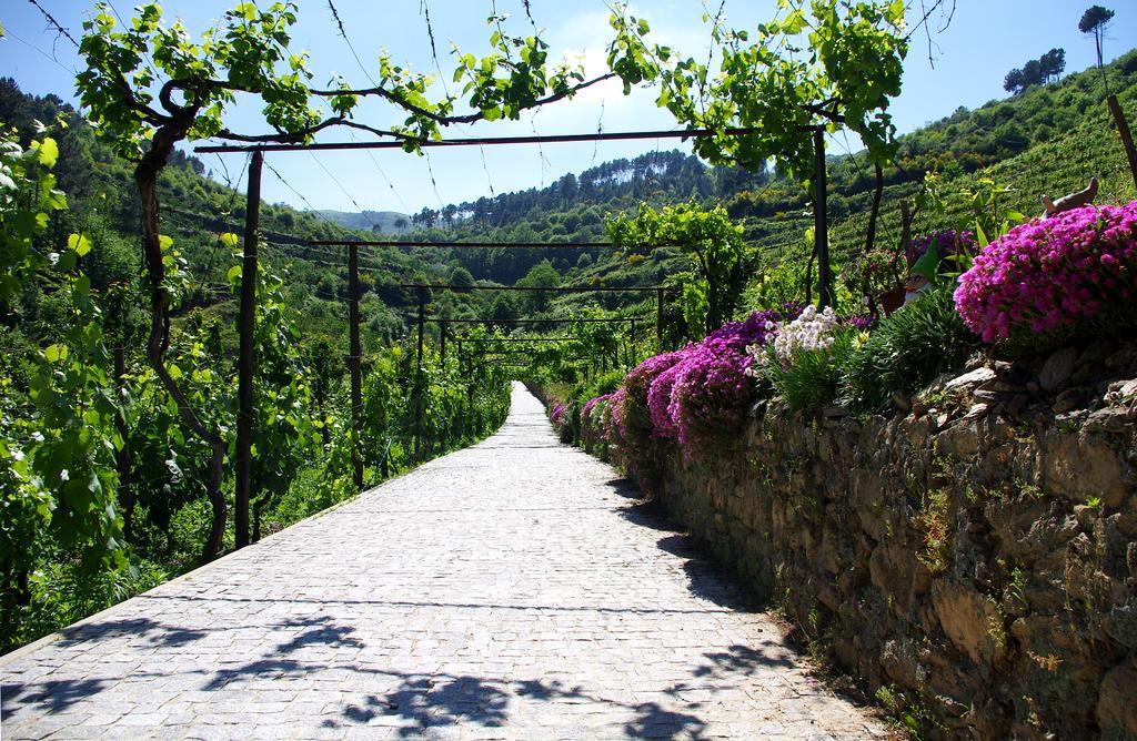 Casa Da Quinta Do Porto Villa ลาเมโก ภายนอก รูปภาพ