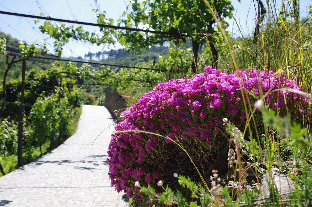Casa Da Quinta Do Porto Villa ลาเมโก ภายนอก รูปภาพ