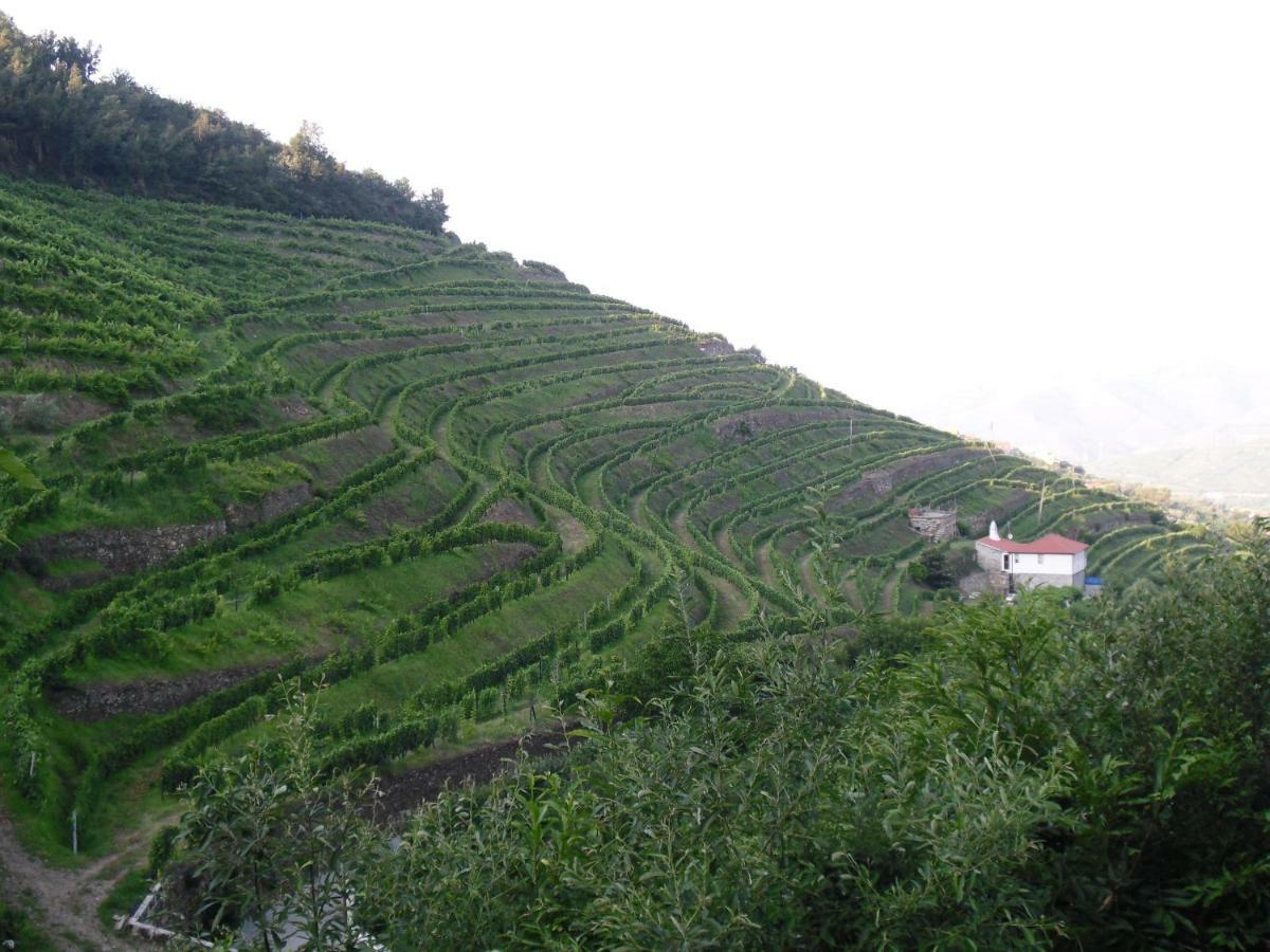 Casa Da Quinta Do Porto Villa ลาเมโก ภายนอก รูปภาพ